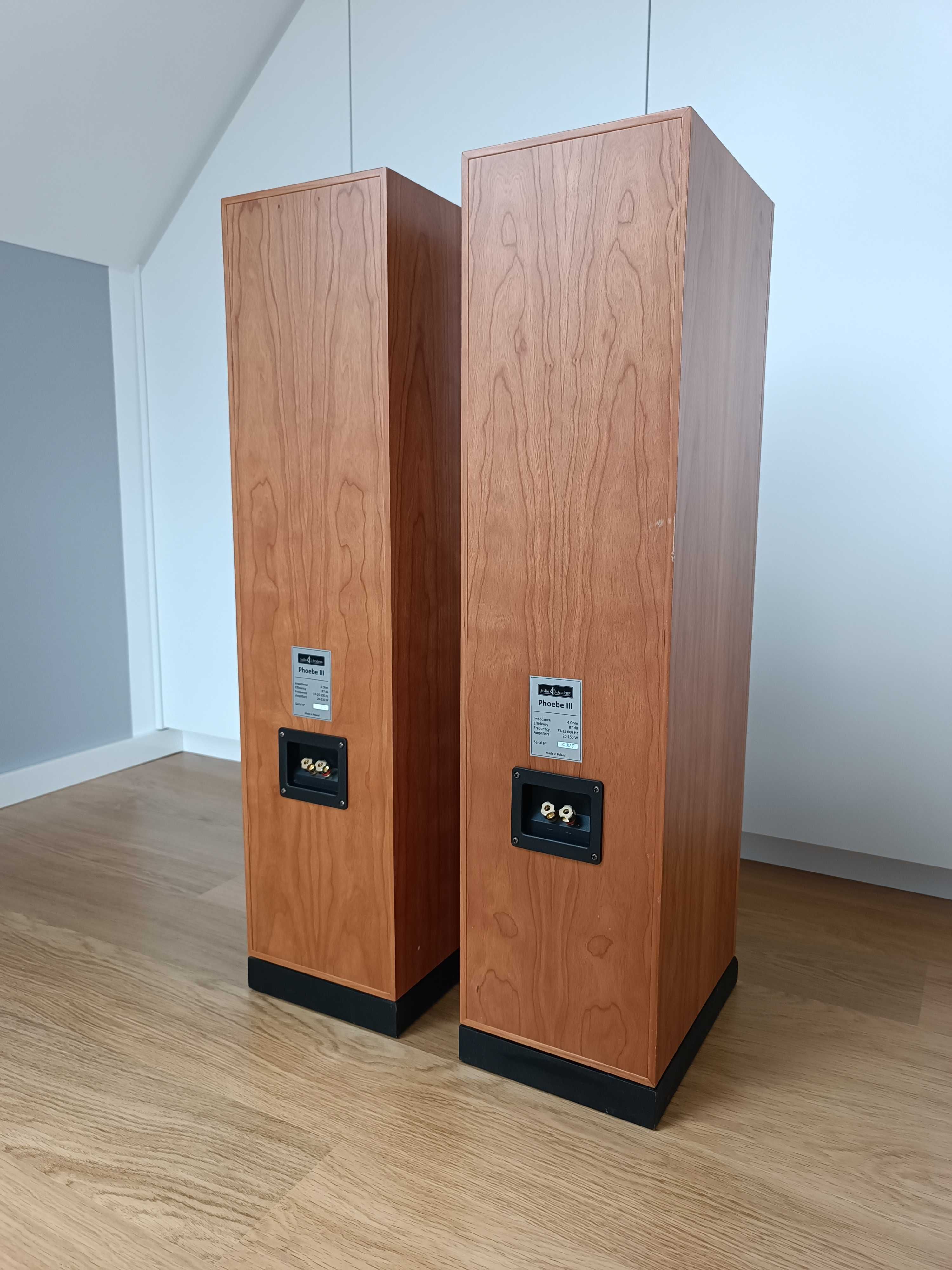 Kolummy Audio Academy Phoebe III naturalny fornir, seas 27TBC visaton