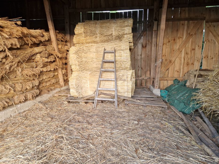 Słoma żytnia  wysyłka kurier  snopek strzecha na pokrycia dachowe strz