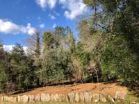 Terreno Rústico "Juncal" em Gondar, Caminha, Viana do Castelo