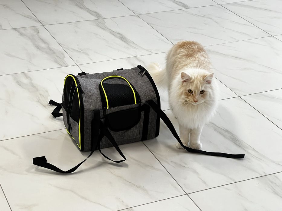 Plecak transporter torba podróżna dla psa kota