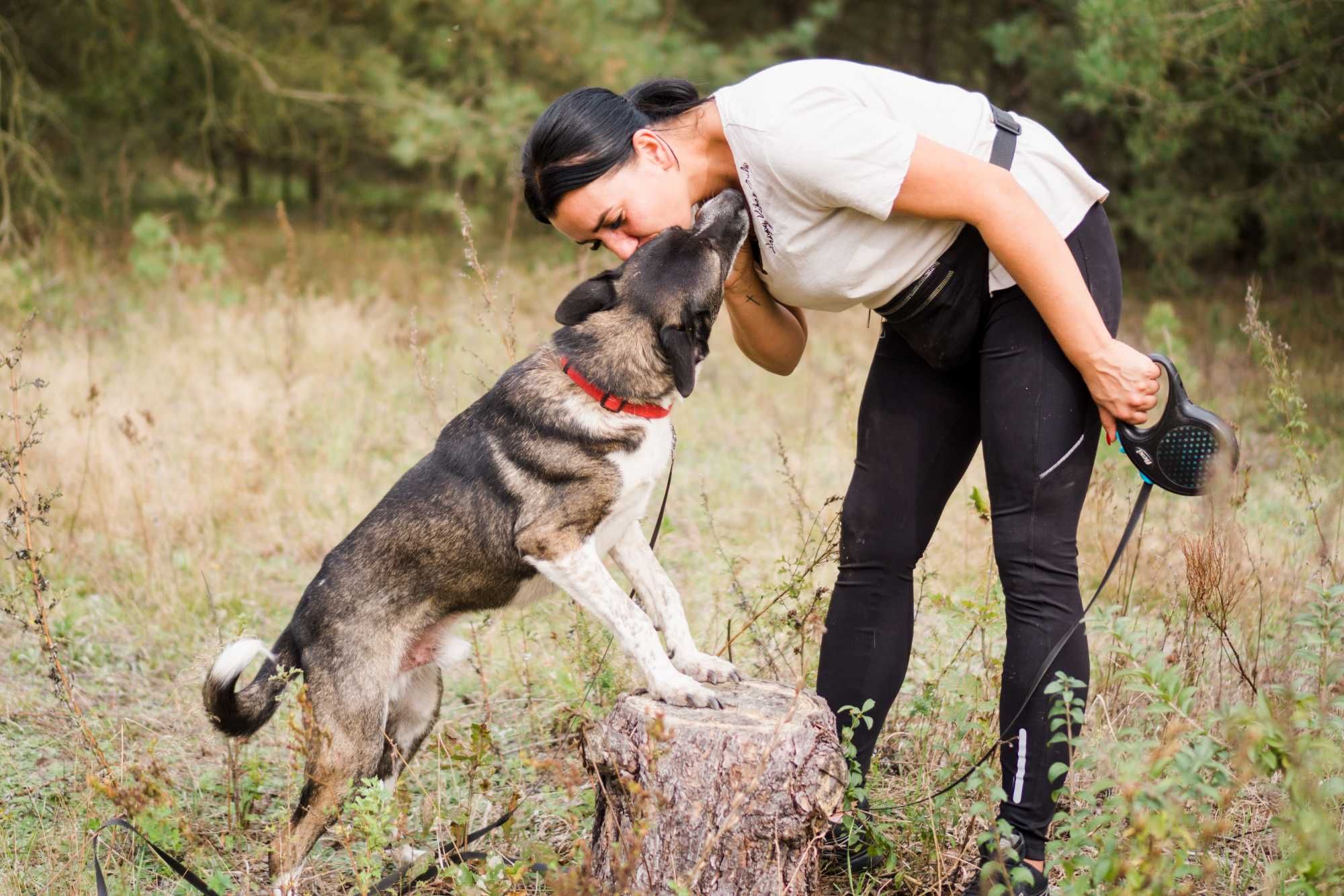 10 letni Salto do adopcji!