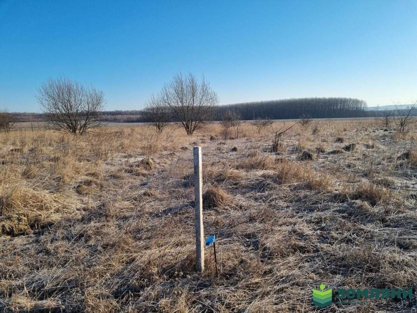 Продаж земельної ділянки 12 сот під будівництво с.Колодіївка