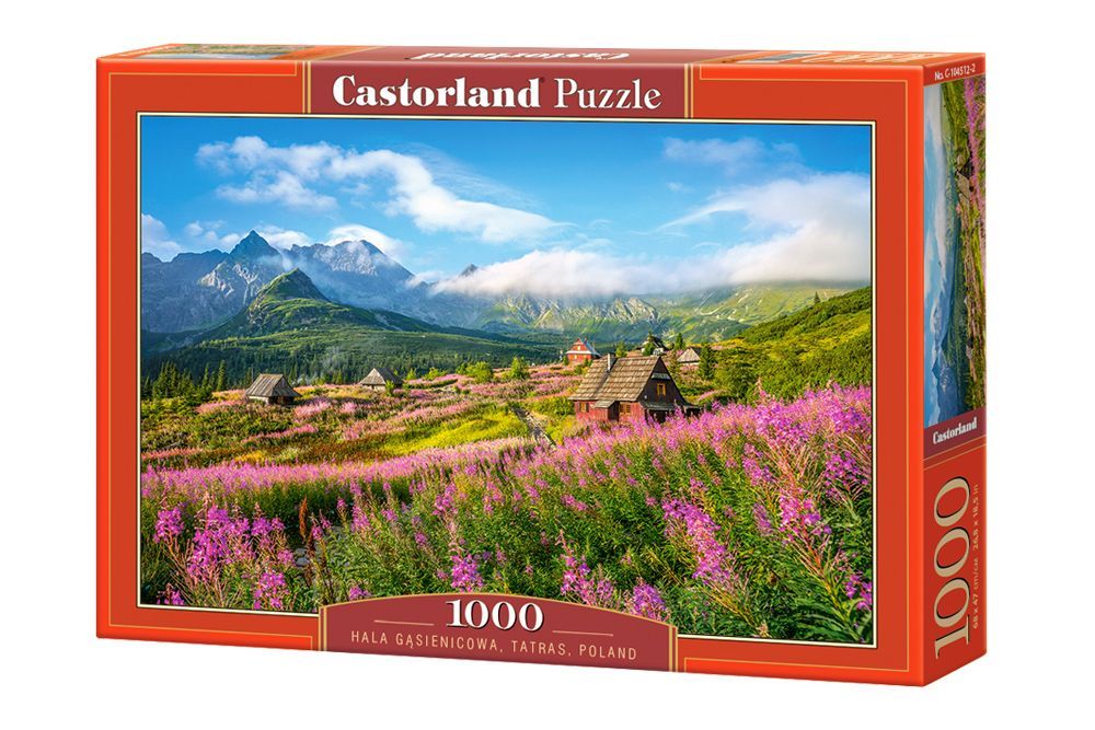 Puzzle 1000 Tatry Hala Gąsienicowa C-104512 Castor