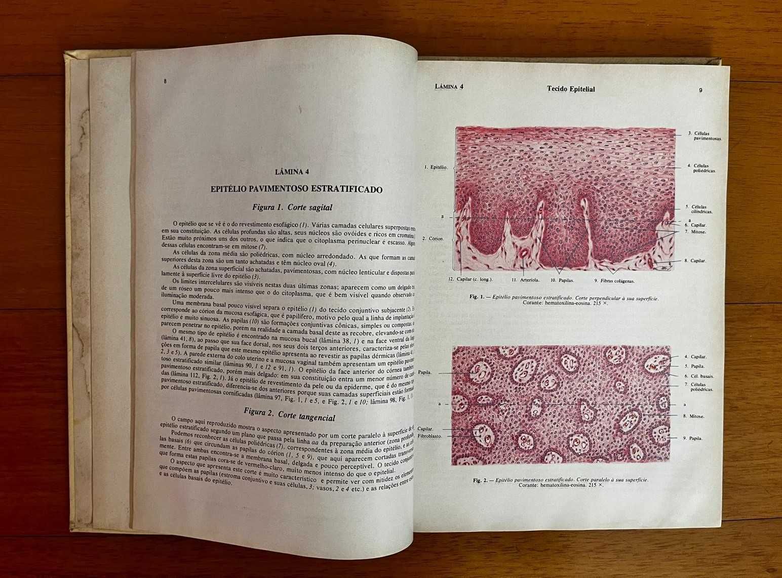Atlas De Histologia 7ª edição