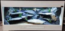 Terrarium nr519 120/60/60 dla agamy brodatej - NA ZAMÓWIENIE