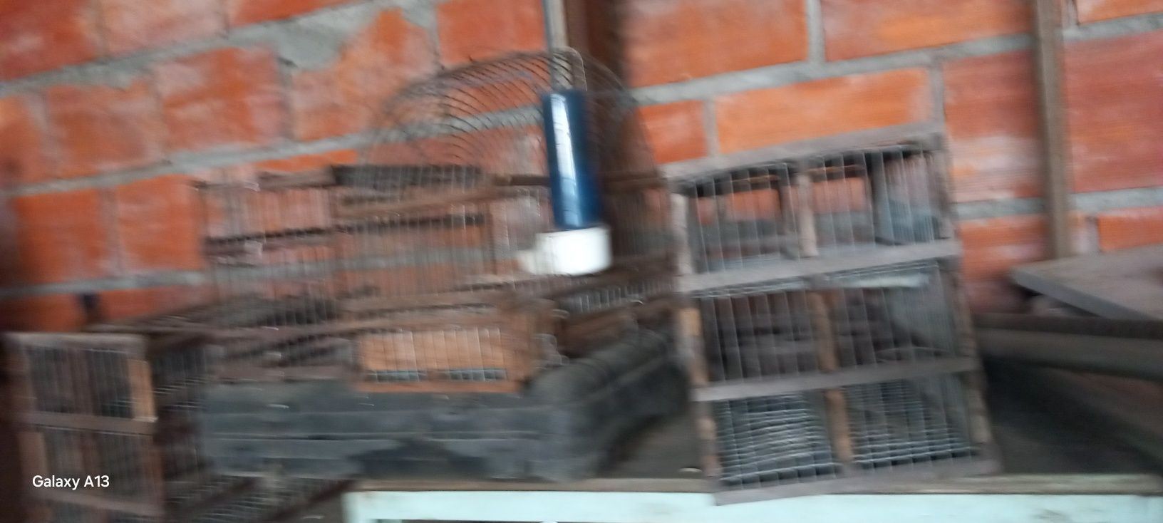 Gaiolas para passaros