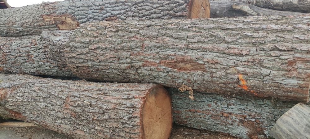 Drewno zrzyny kominkowe opałowe