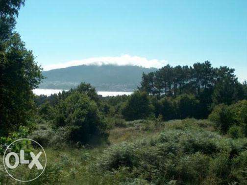 Terreno em Caminha (Viana do Castelo)