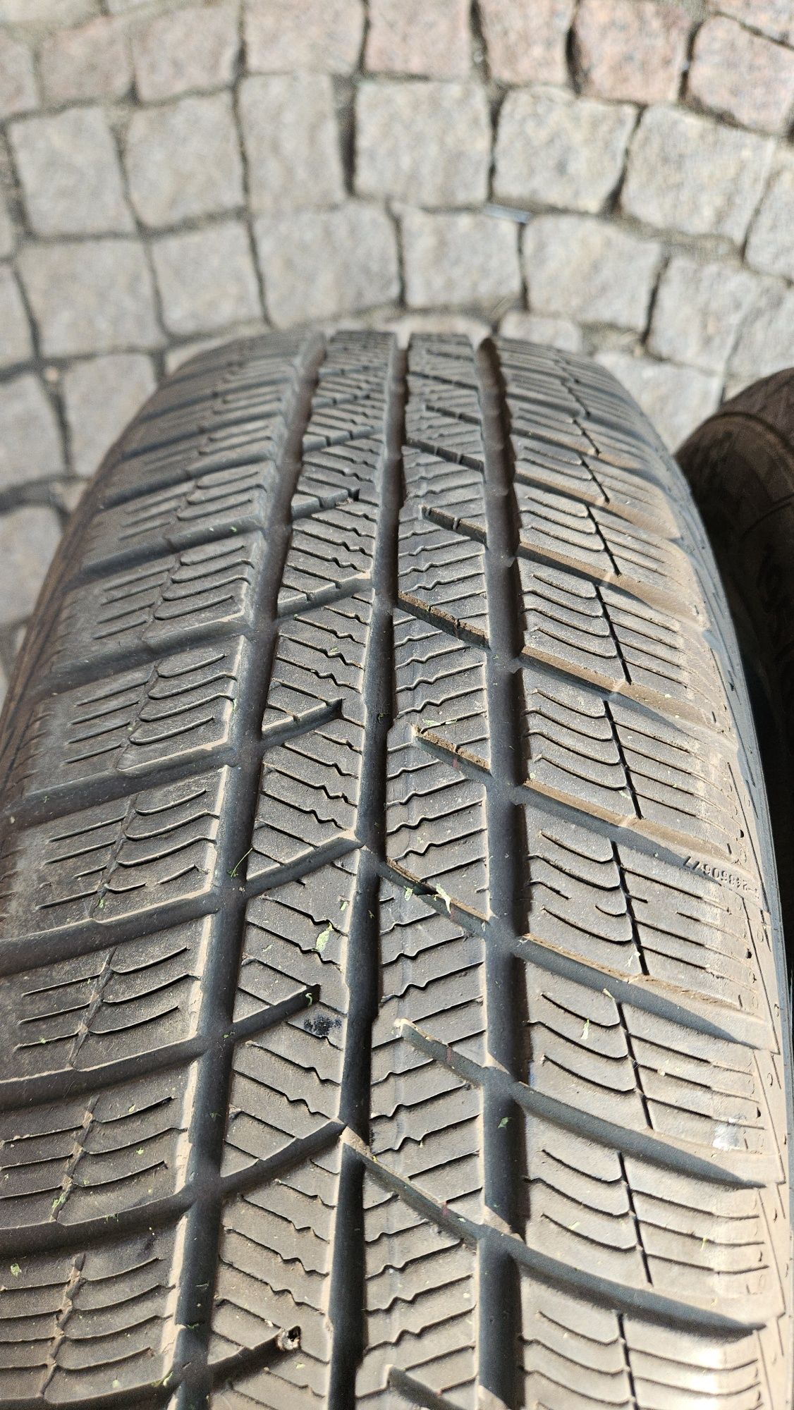 Barum Polaris 5 195/65 R15 T