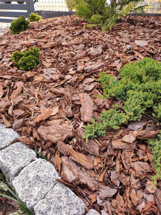 Kora sosnowa średnia niesortowana 60l