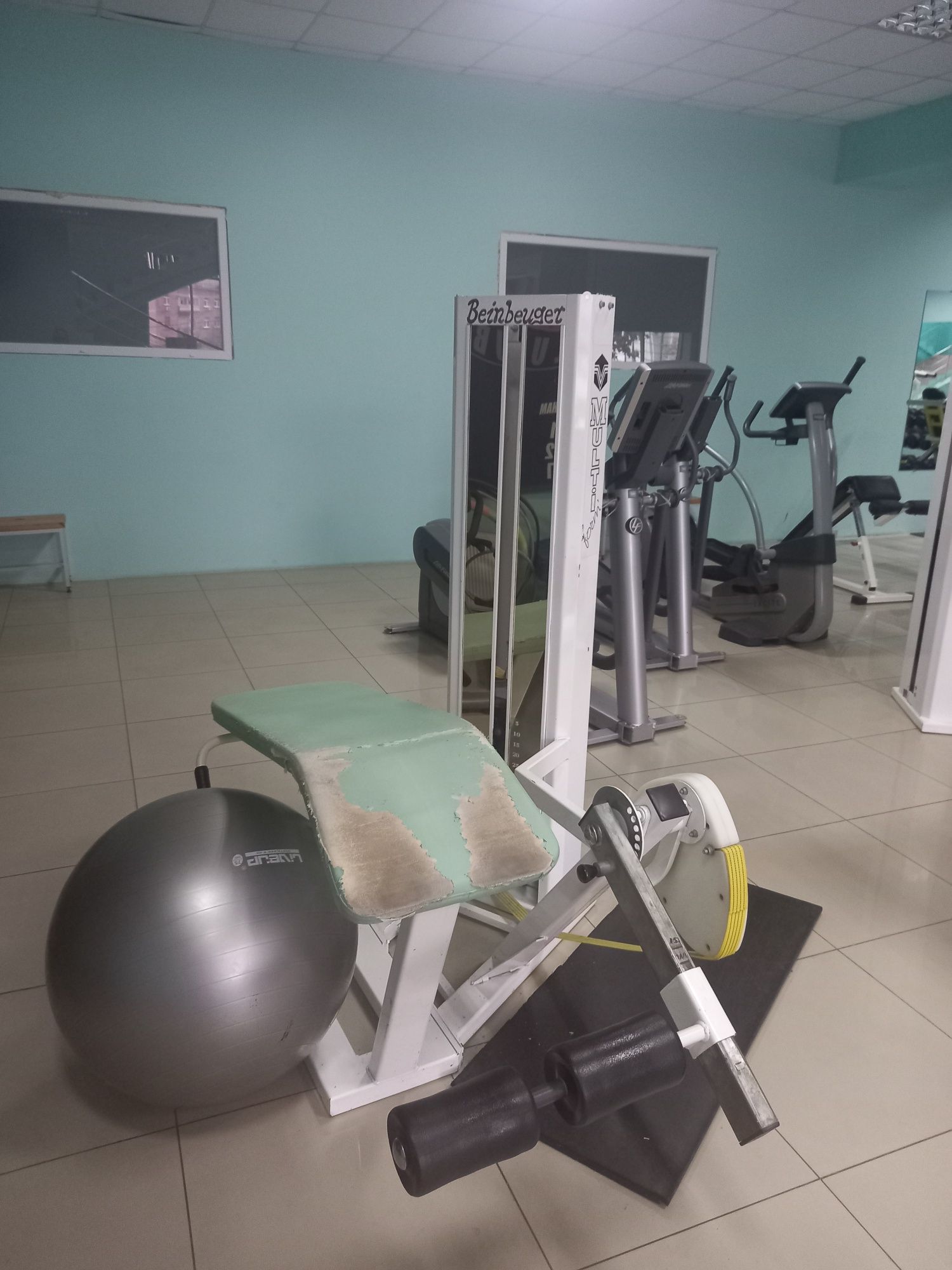 Жим на плечи бабочка  штанги неразборые technogym