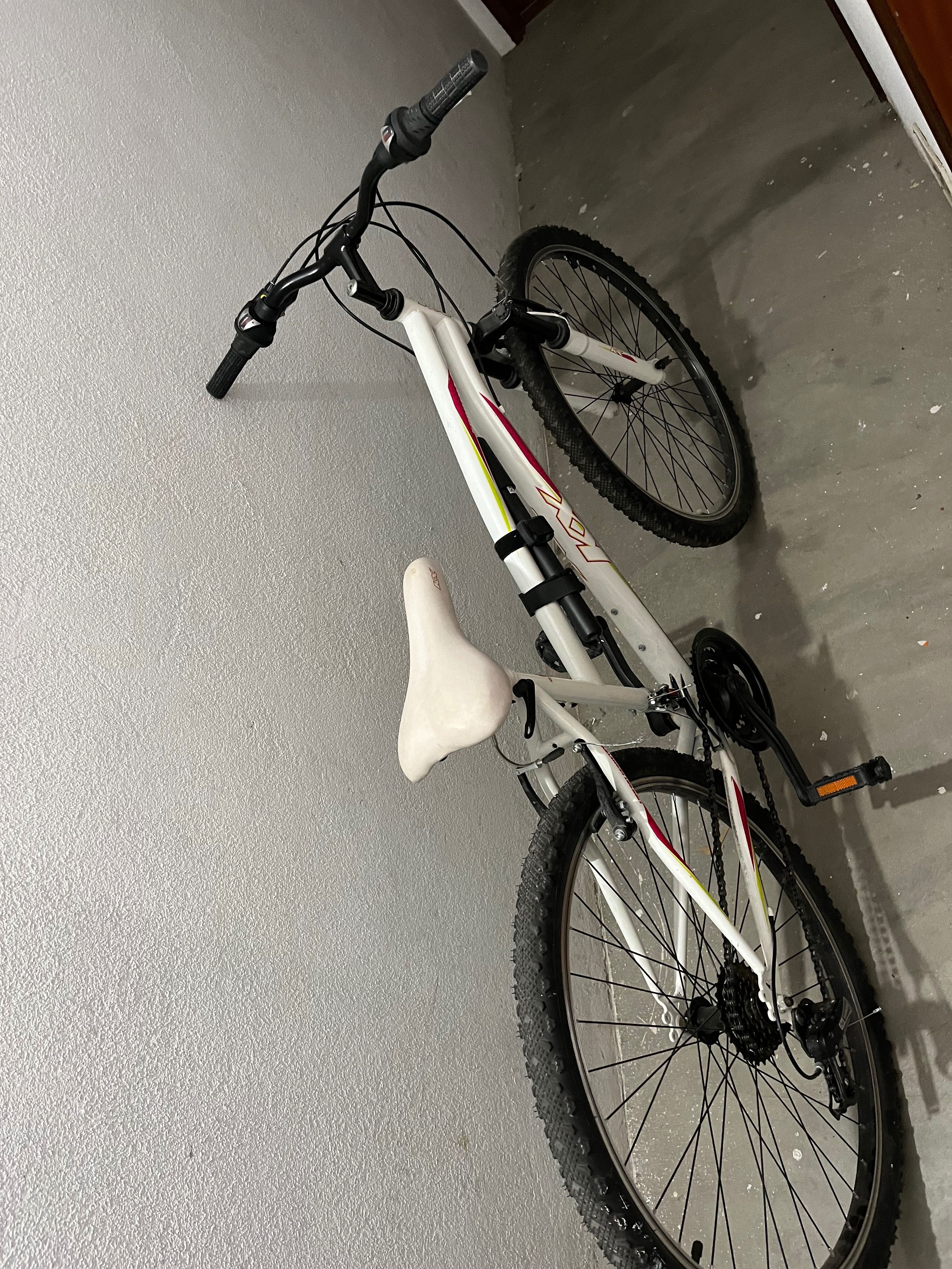Bicicleta de adulto