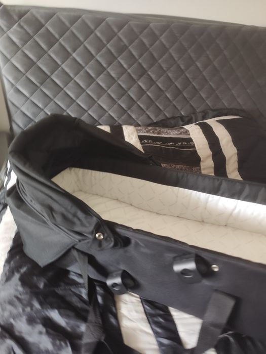 Alcofa Baby Monsters nova