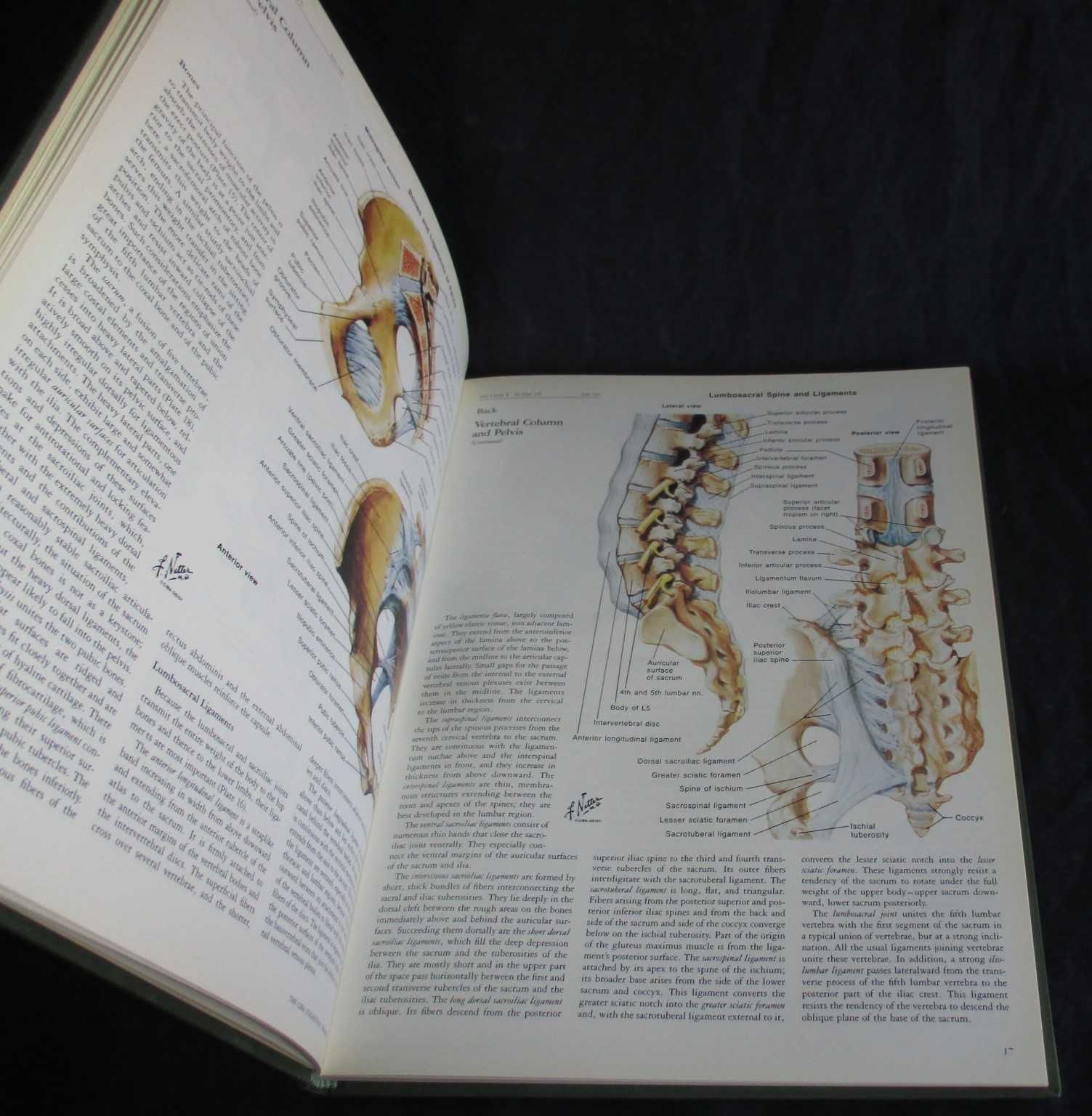 Livro Ciba Collection Of Medical Illustrations Musculoskeletal System