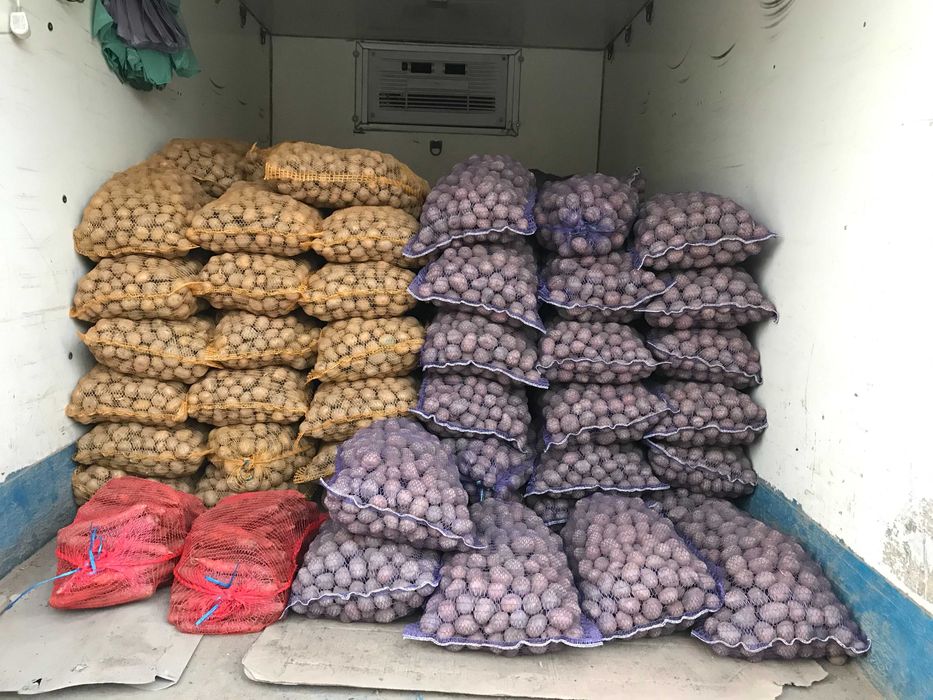 Ziemniaki Bellarosa, Gala, Soraya, Denar (35-45 mm) + kurier od 210 kg