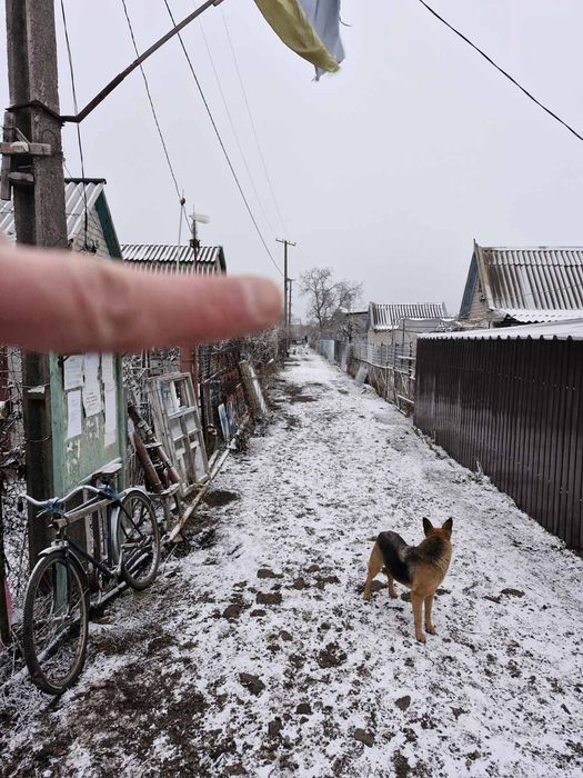 Дача Долгинцево Промышленная ул., кооператив Домостроитель 86