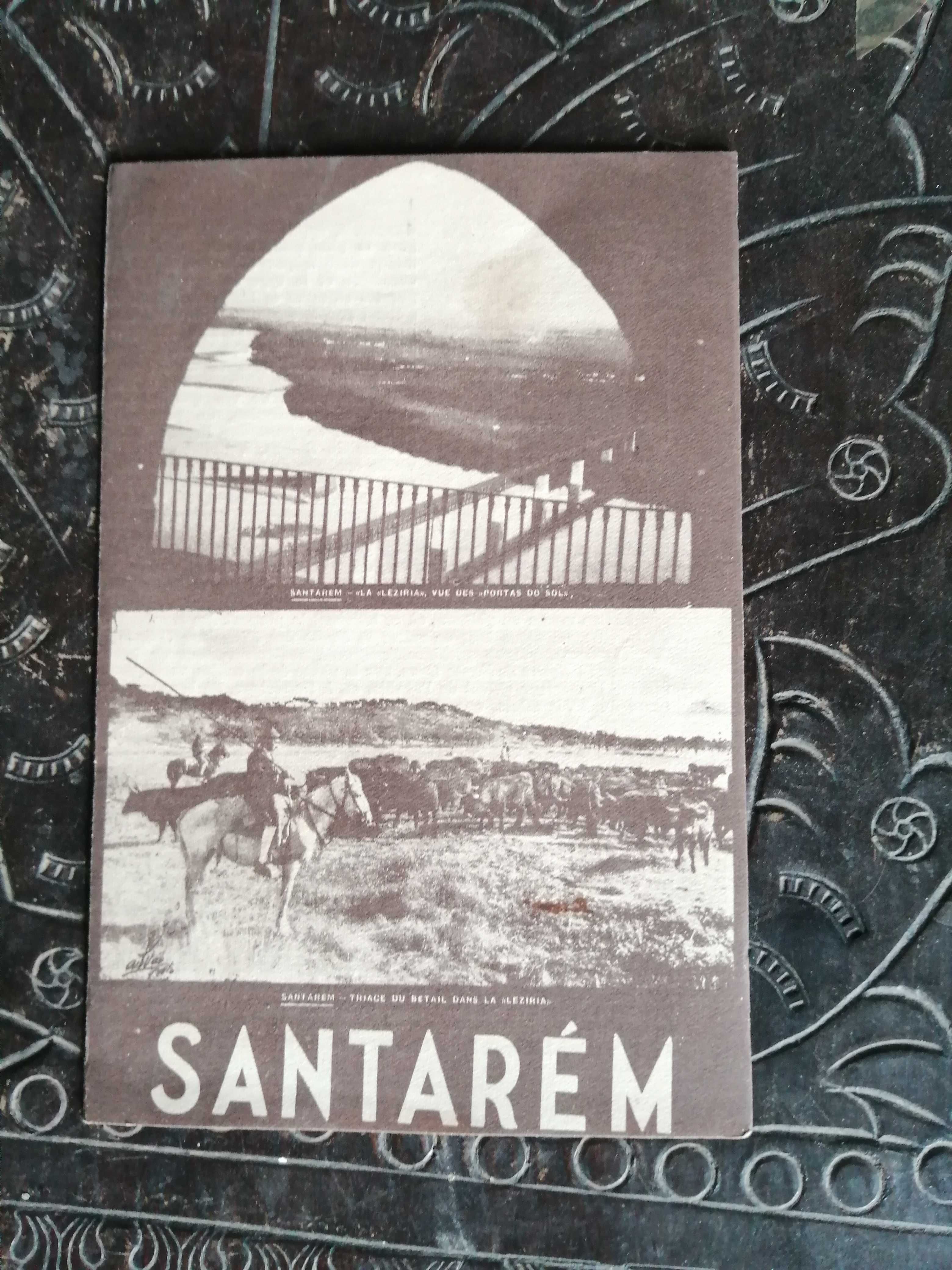 panfleto de Santarem de 1948 , em frances