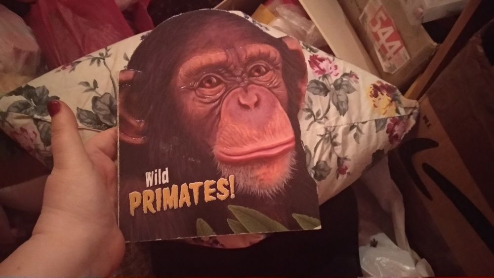 КНИГА английский язык обезьяны породы wild primates картон горилла