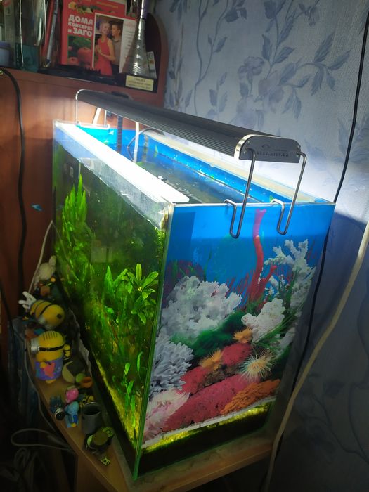 Аквариум со светильником и компрессором