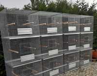 Blocos de gaiolas para aves Bico Curvo