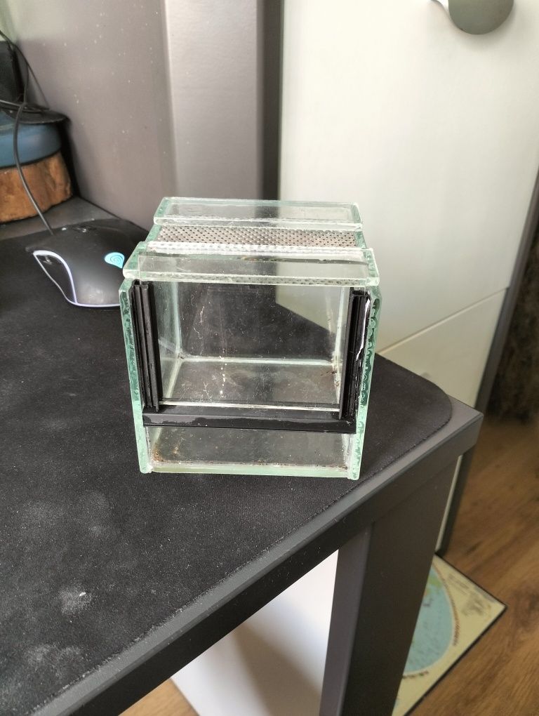 Terarium 10x10x10