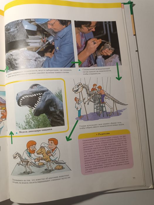 Моя первая энциклопедия. Динозавры.