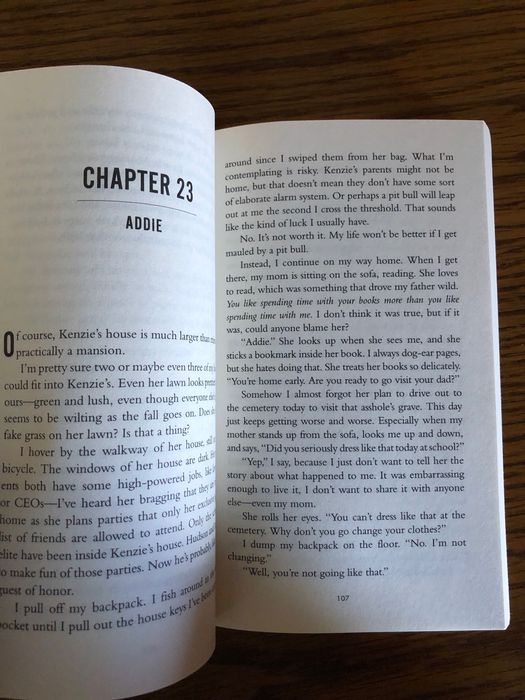 The book  ‘The Teacher’, Freida McFadden