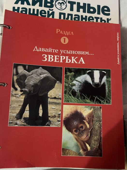 Набор журналов животные нашей планеты