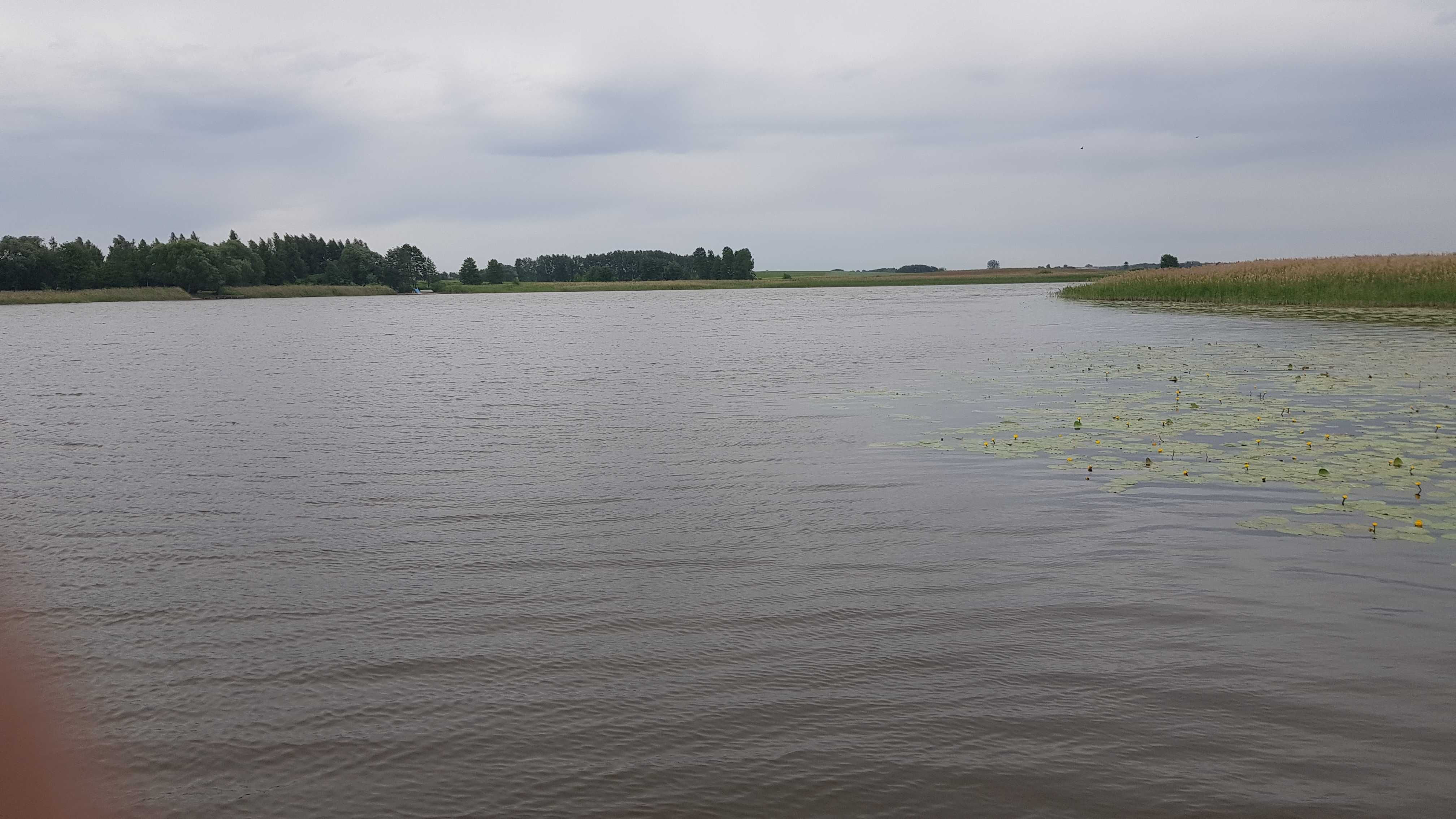 Własna działka na jeziorem z linią brzegową. Wynajem! Cena za Rok!!!