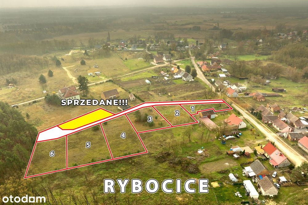 Na sprzedaż działki budowlane Rybocice obok Słubic