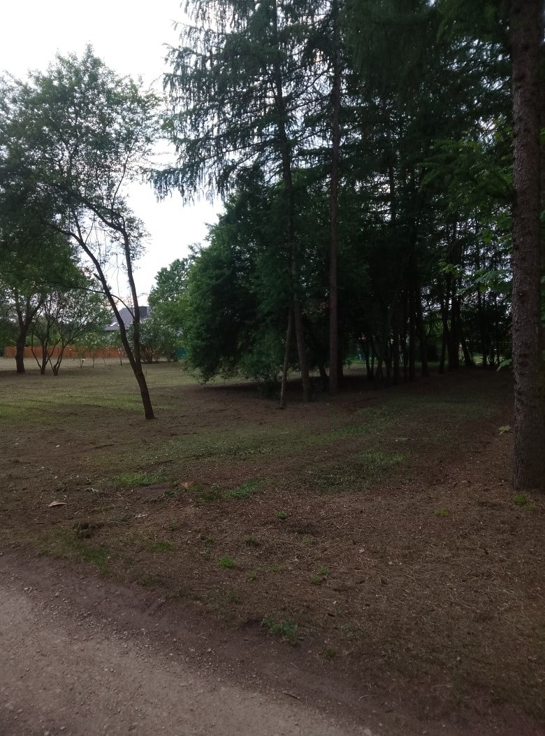 Wydzierżawię ziemię, ekspozycja