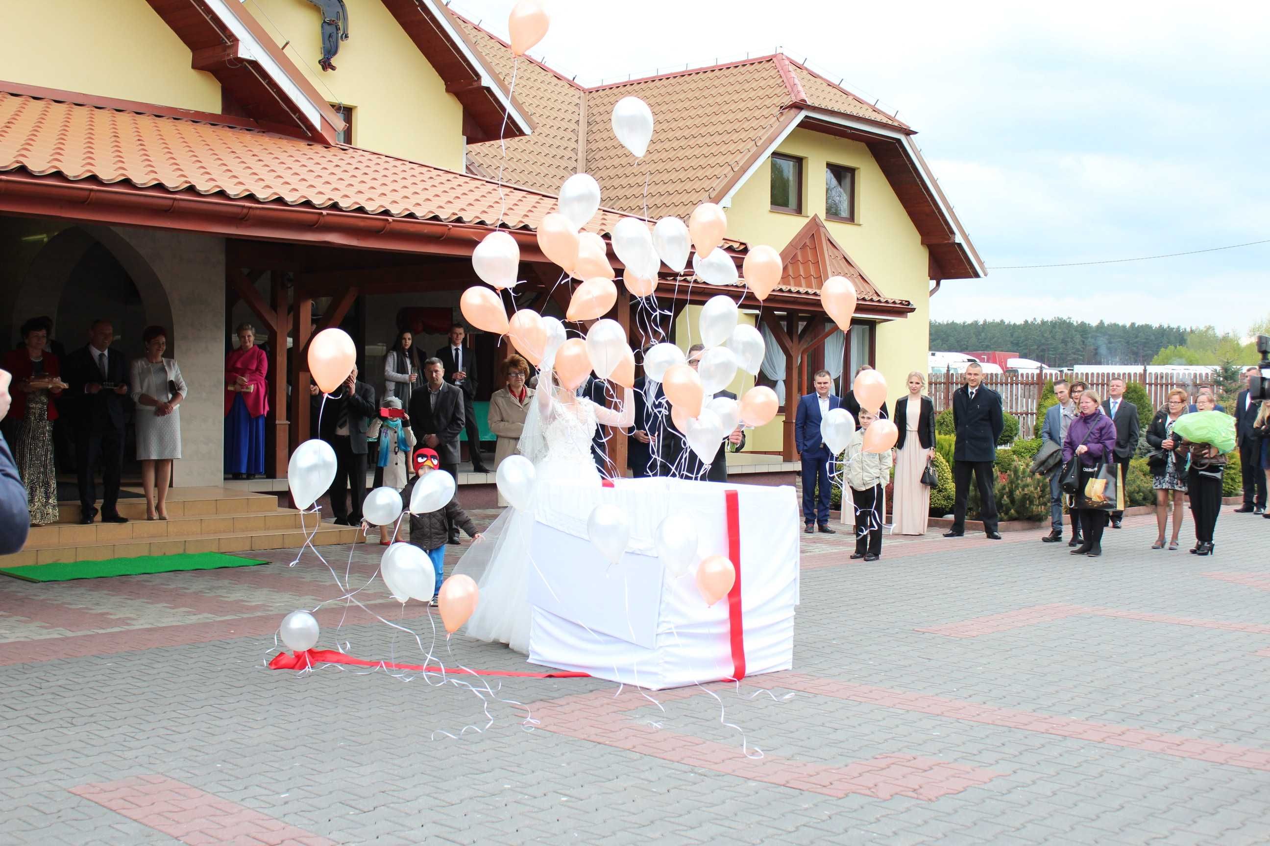 Wypuszczanie balonów z helem z pudła niespodzianki ślub wesele