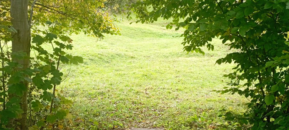 Чудова ділянка у чудовому місці на курорті Поляна Закарпатська область