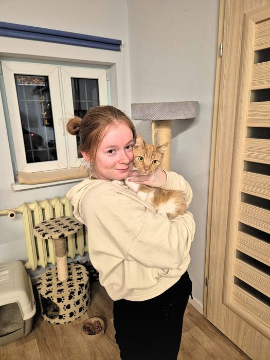 Kot, kotek, kocurek Monin