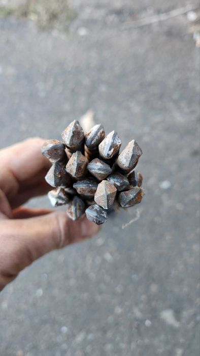 Бури по бетону SDS plus 10/600 та 16/600