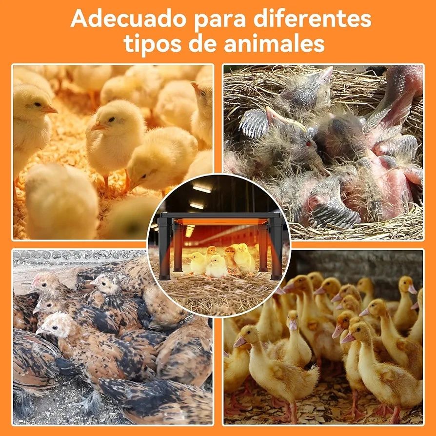 MQUPIN Aquecedor de galinheiro e criador de pintainhos 2-em 1, 120 w a