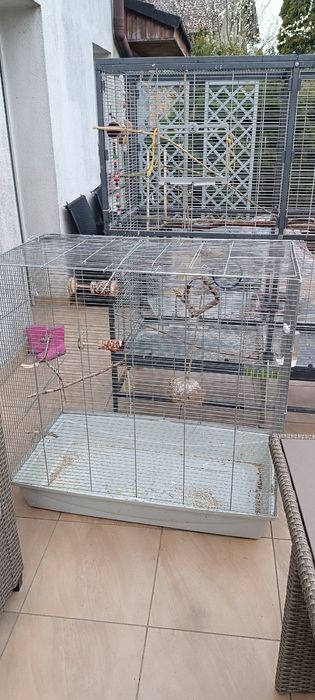 Klatka woliera dla ptaków papuga szynszyla szczura 100 x 100 cm