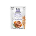 Вологий Корм BRIT CARE Cat для котів і кошенят. 9 Видів Пауч Бріт Кеа