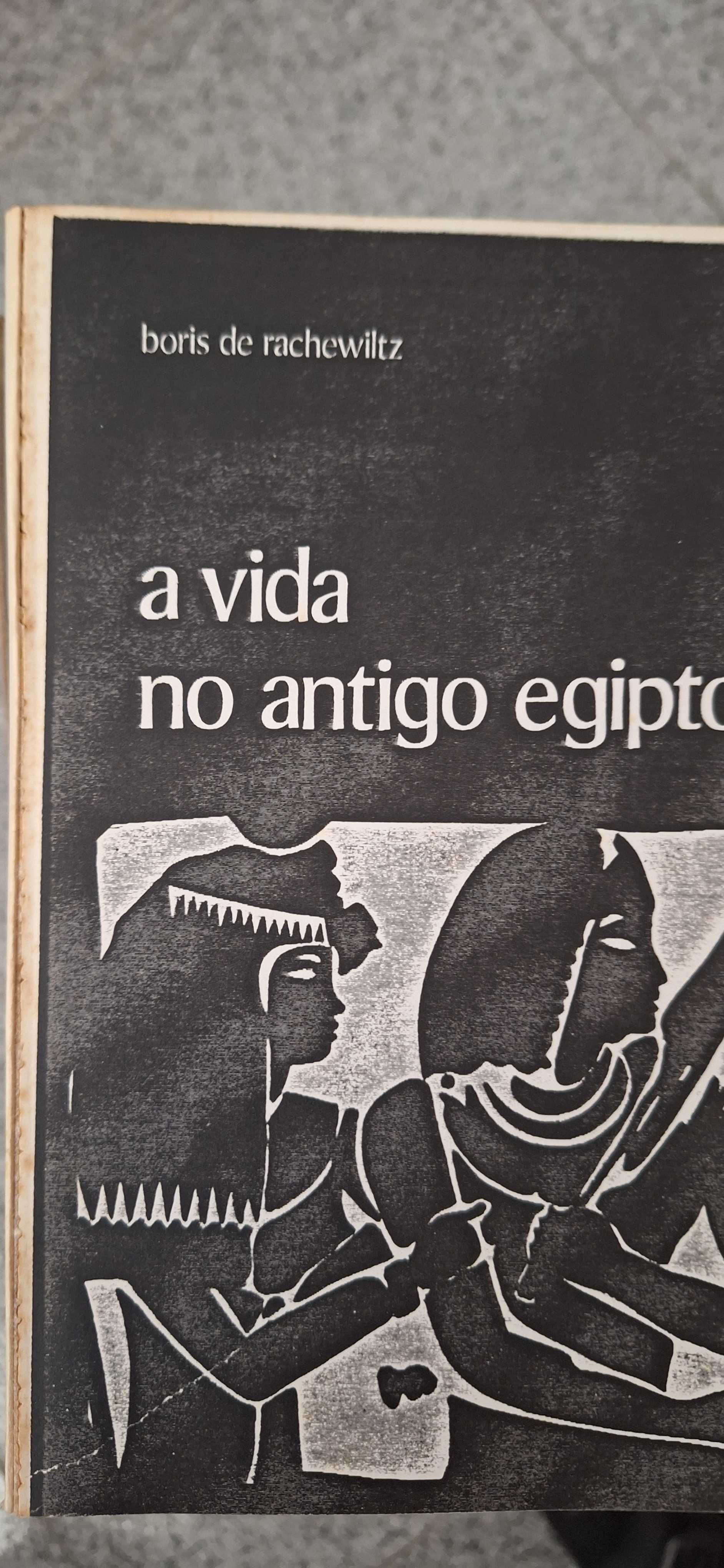 livros diversos da área de história (lote 4)