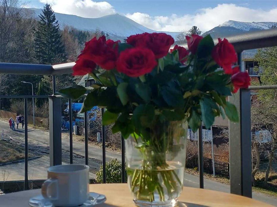 Sylwester w Karpaczu z widokiem na góry wypoczynek parking śniadania!