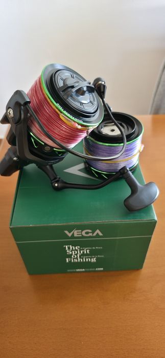 Carreto surfcasting Vega Hellion TX9000
