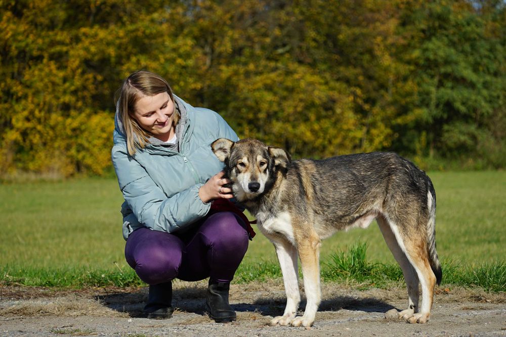 Azor - zagłodzony psiak potrzebuje domu - pomagamy w transporcie