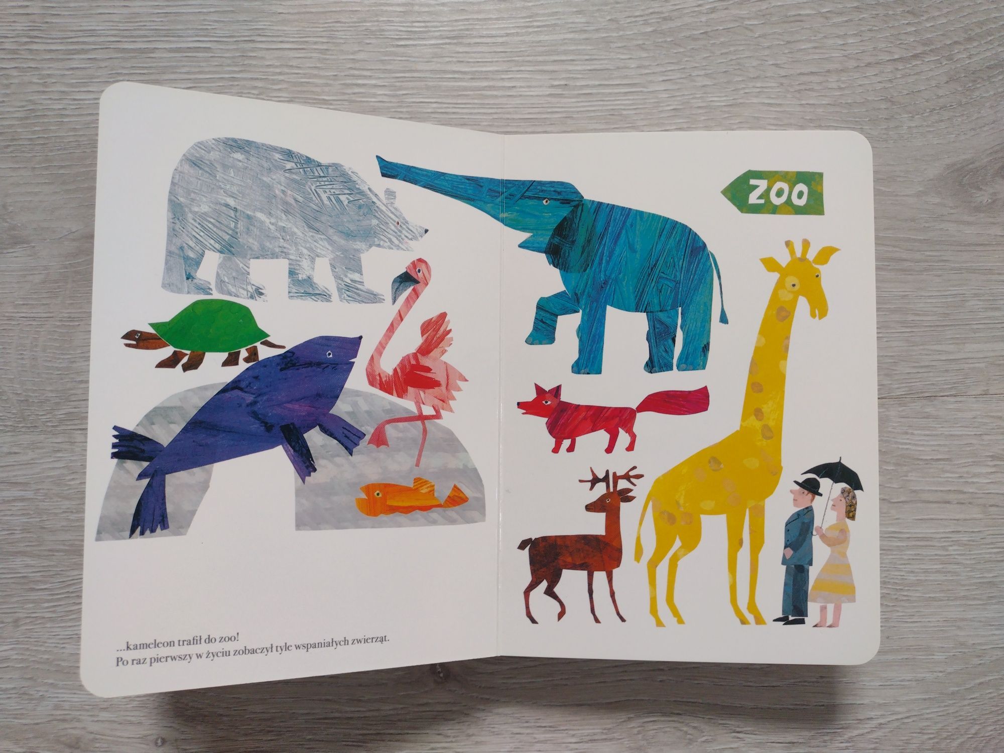 Kameleon Eric Carle