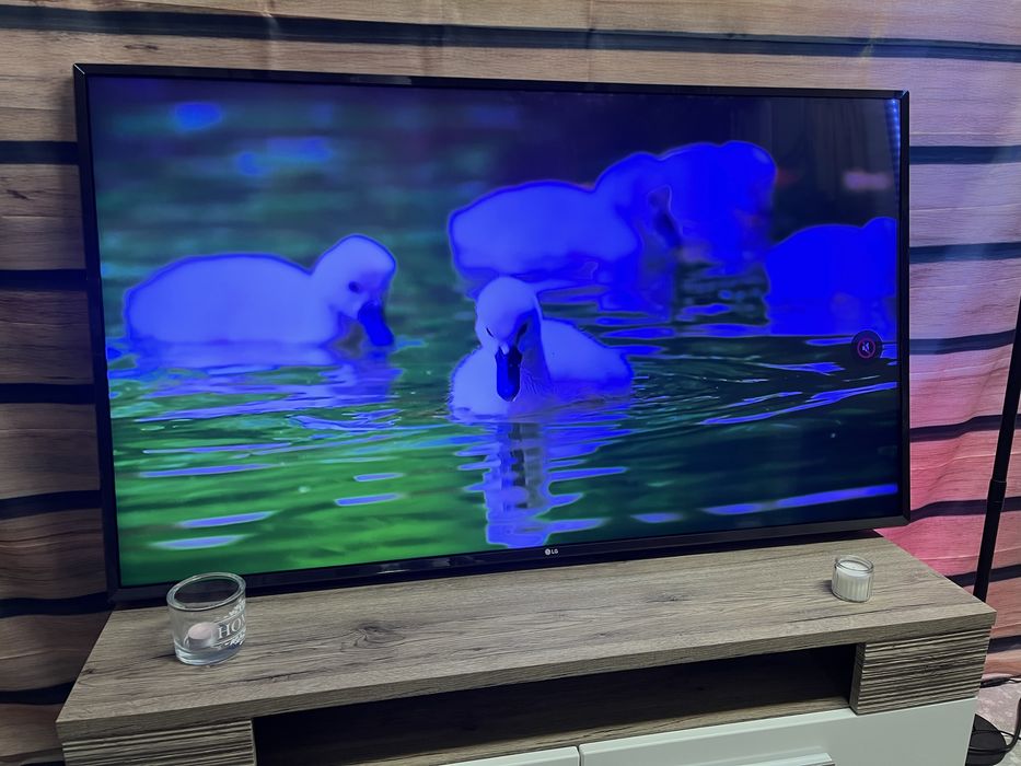 Tv LG 55 Cali Lekko niebieska poswiata Netflix Youtube Transport