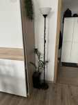 Lampa ikea loft czarna 180 wysoka stojąca lampa