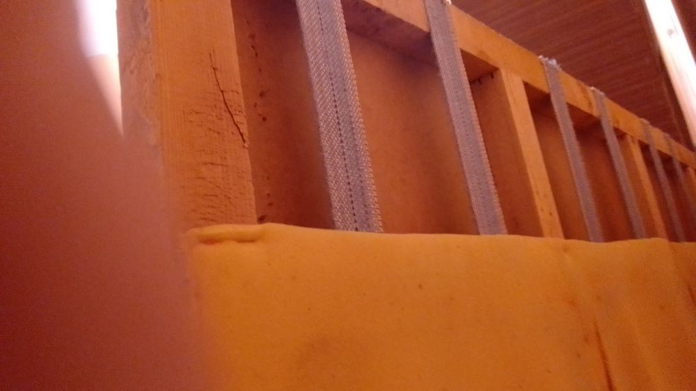 Ламелія дерев'яна