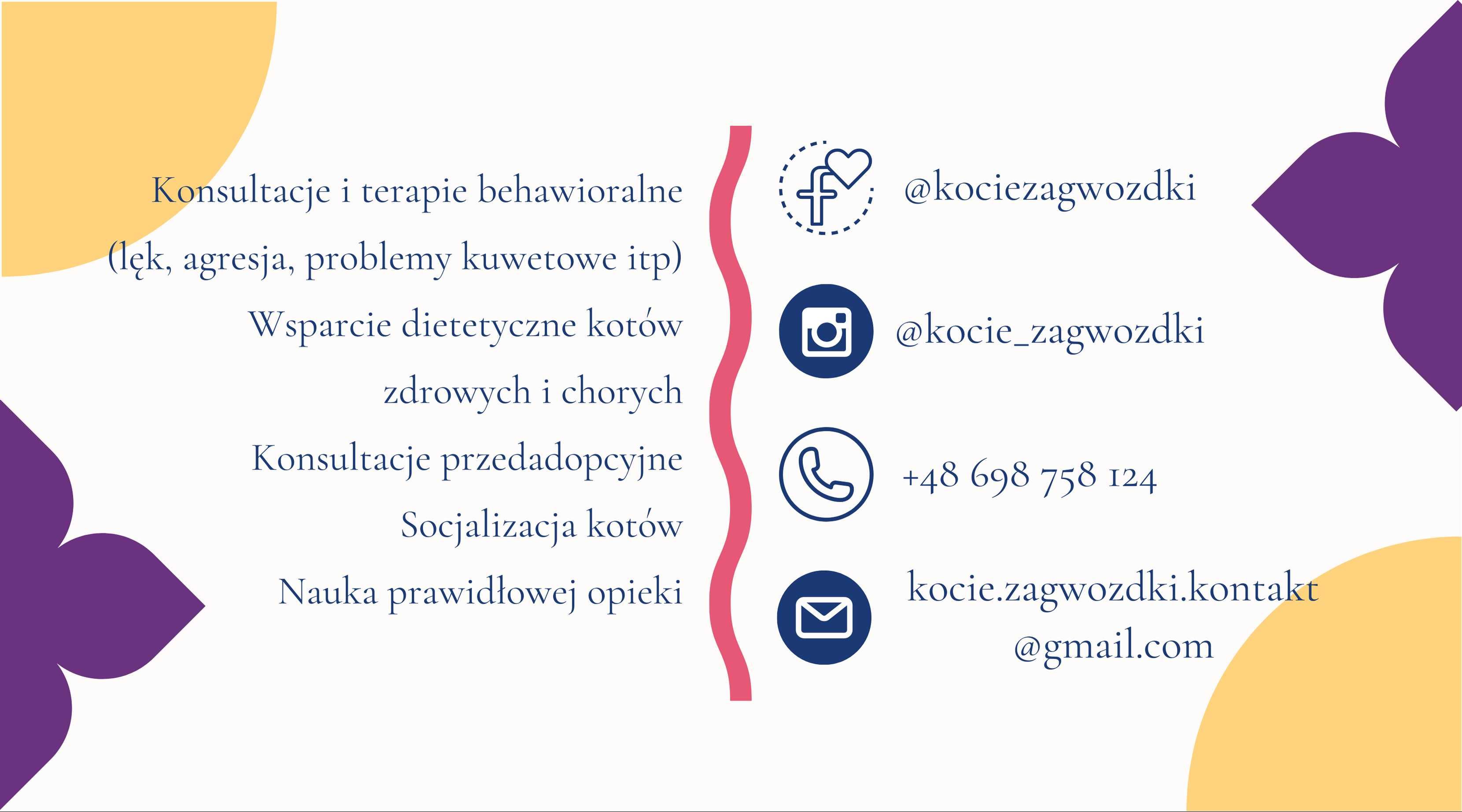 Koci behawiorysta dietetyk behawioryzm kot Gliwice Śląsk Online