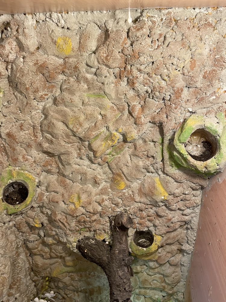 Terrarium duże kameleon iguana agama gekon