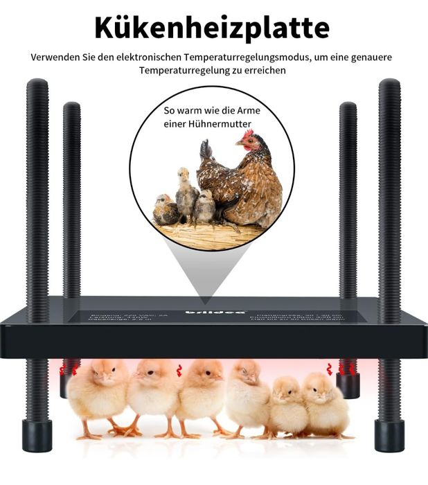 Briidea Płyta grzewcza dla piskląt , 30 x 30 cm