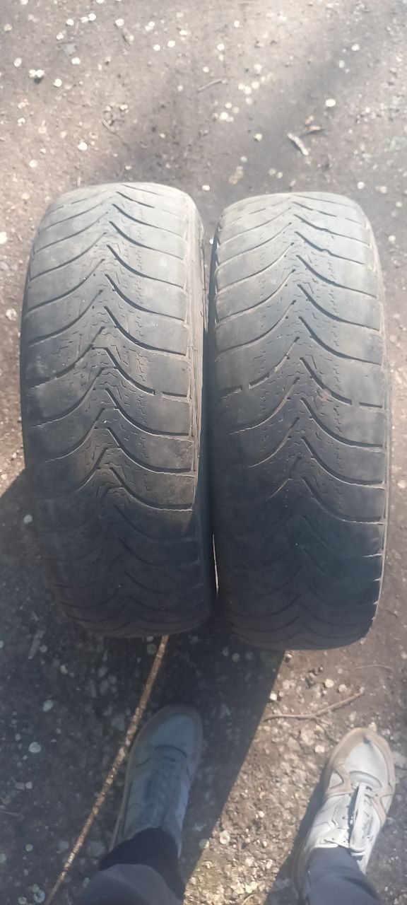 Premiorri 185/65R14 пара зимняя